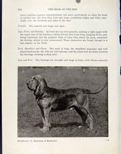 Original old antique print - old,