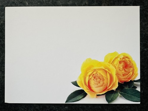 Shredastic yellow rose - shredastic®️,
