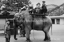 Elephant ride belle - elephant, vue