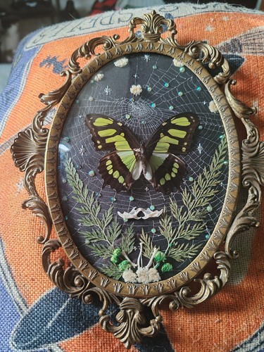 Vintage convex frame with - vintage,