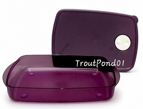 Tupperware rock serve lg - tupperware, n