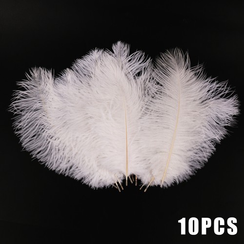 10pcs pack large ostrich - 10pcs/pack,