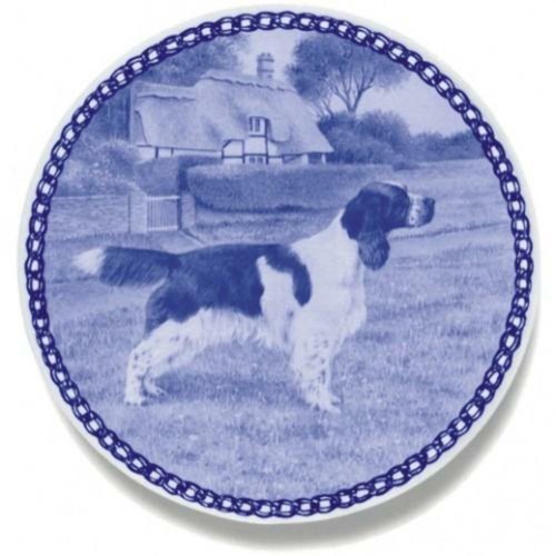 English springer spaniel - english,
