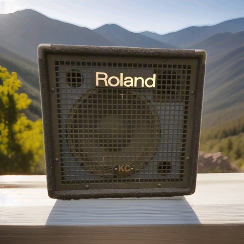 Roland keyboard vocal - roland, vocal,