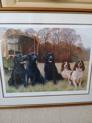 Nigel hemming ltd edition - ltd,
