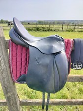 Kieffer Malmö narrow dressage