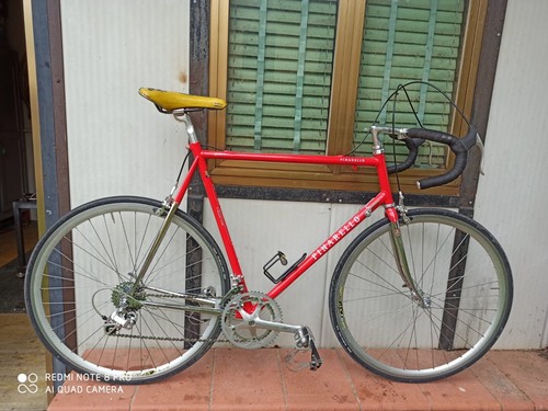 Pinarello treviso vintage - pinarello,