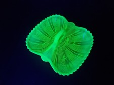 Davidson's Uranium Vaseline Pearline Opalescent Glass 'Richelieu' Serving Dish