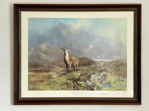 Prince rannoch moor - 'prince, moor'