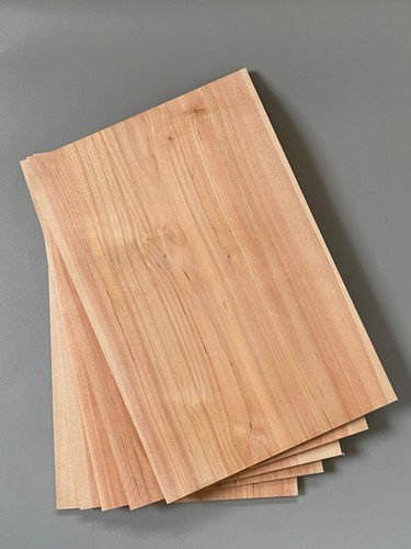Silver birch solid - silver,