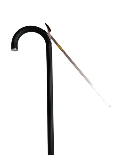 Equestrians horse measurement - horse,