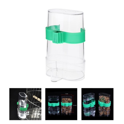 Bird water food - food, cage