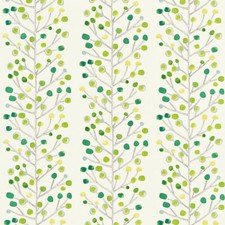 Scion Berry Tree Emerald Lime