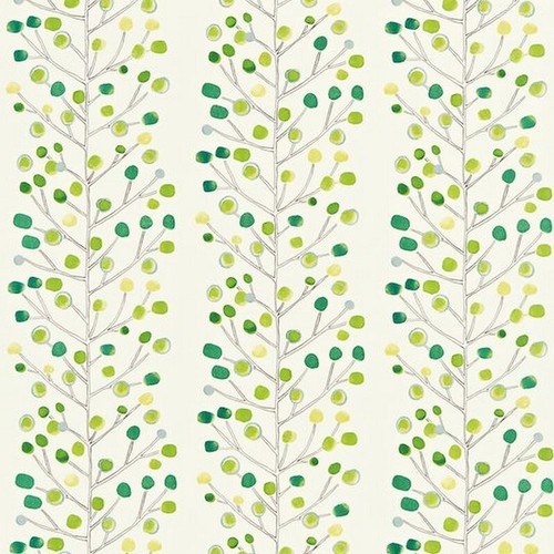 Scion berry tree emerald lime - tree,