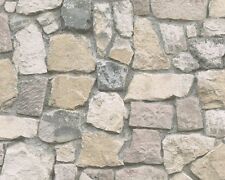 REALISTIC CRAZY PAVING BRICK