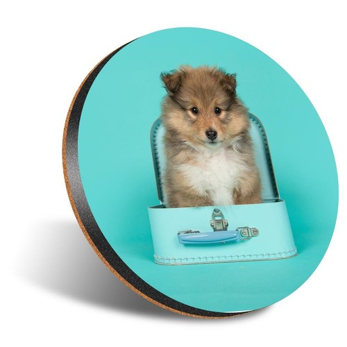 Round 12cm coaster - coaster,