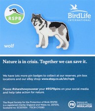 RSPB Pin Badge Bird Life International NIIC Wolf P03222