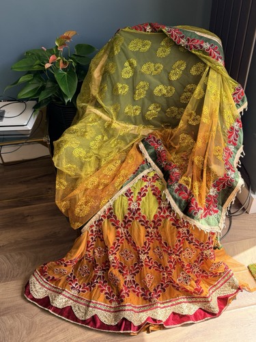 Indian lehenga - indian,