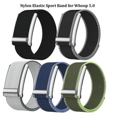Shockproof Elastic Sport Band