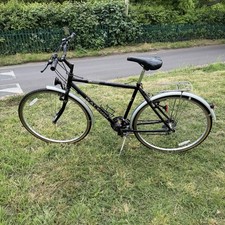 Raleigh Pioneer Classic 10 SIS