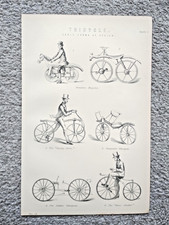 Examples of Tricycles - Antique Print - 1875