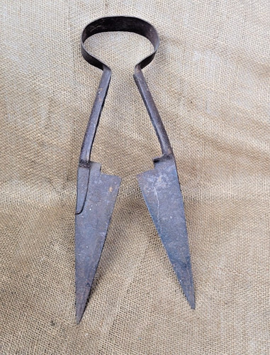 Sheep shears vintage - sheep, shears-vintage