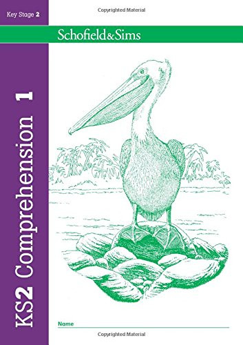 Ks2 comprehension book year - book,