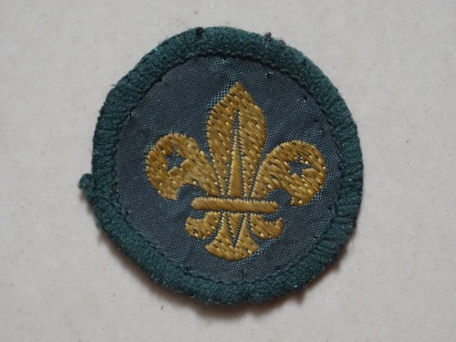 Cub scout cap - cap, badge