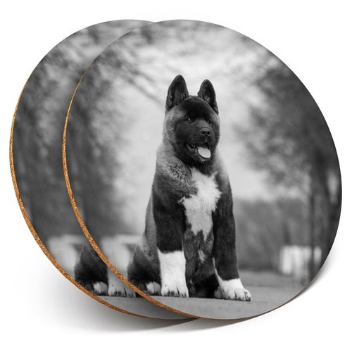 Coasters large - x,
