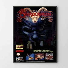 Poster Shadowrun Super
