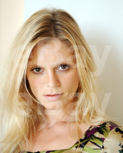 Emilia fox 10x8 photo - fox,