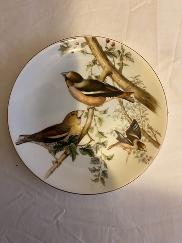 Coalport china wall plate - china,