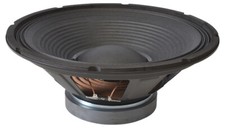 12" Speaker Driver 200 Watt 8