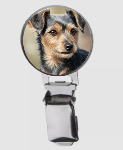 Silky terrier dog dome - dog, on
