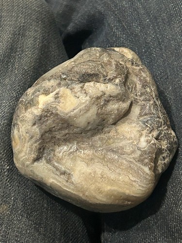 Giant fairburn agate - giant,