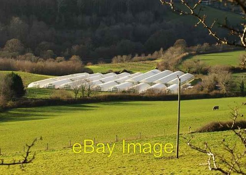 Photo 6x4 polytunnels - photo,