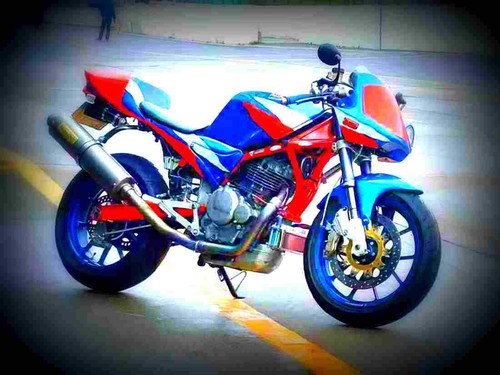 Suzuki goose 350 - goose,