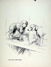 Original Old Antique Print Hound Pencil Sketch Dog Drawing Fine Art Pet Animal