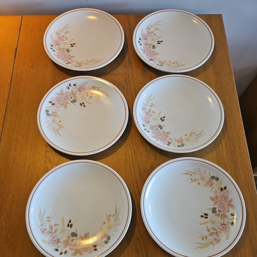 Boots hedge rose - boots,