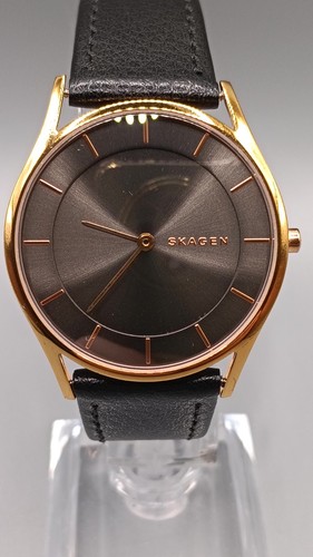 Skagen holst skw2346 quartz - skagen,