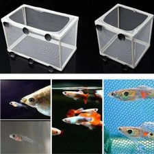 S/L Aquarium Fish Tank Guppy