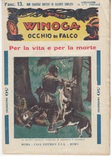 WINOGA HAWK'S EYE FOR LIFE AND DEATH - FILE 13