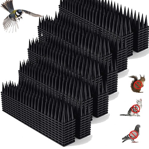 20m bird spikes for pigeon - for,