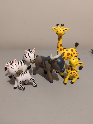 Zoo animals zebra - my,