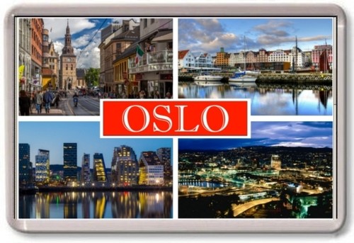 Fridge magnet oslo - magnet,