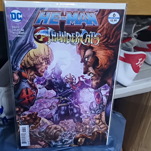 Comics man thundercats - dc, he-man/thundercats