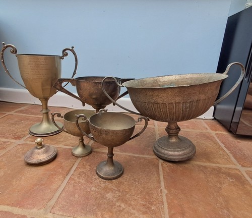 Trophy cups