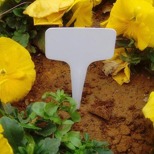 100pcs plant labels garden - 100pcs,