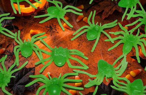 Pack glow the dark - of,