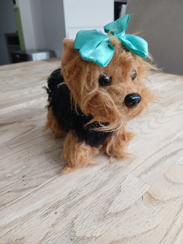 Jojo siwa yorkie dog with - dog,